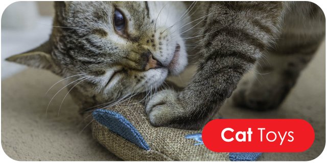 Cat Toys