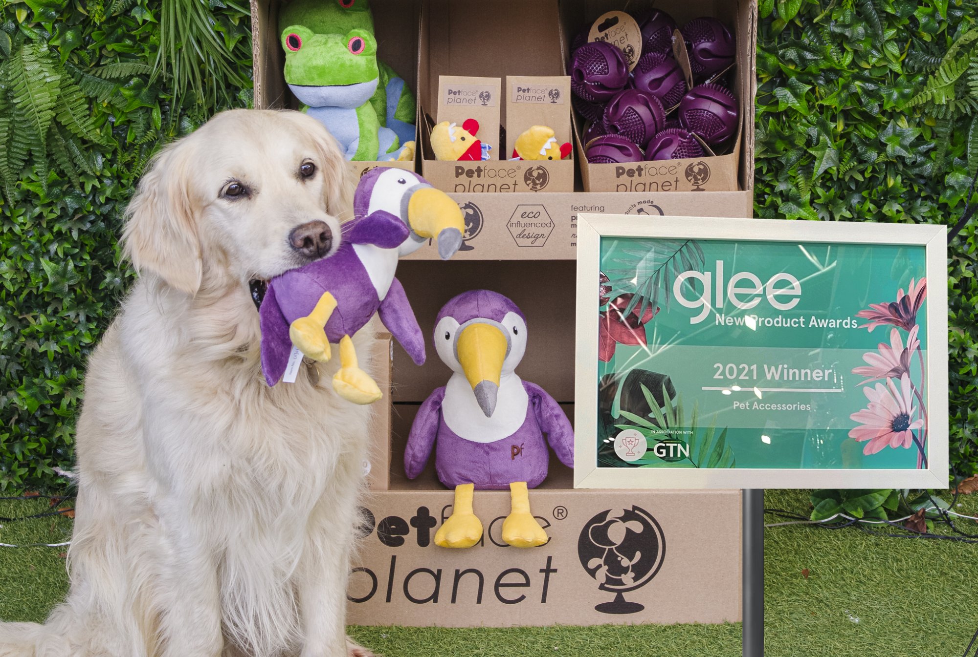 Petface Planet wins the Pet Accessories award at Glee 2021 Petface Planet wins the Pet Accessories award at Glee 2021