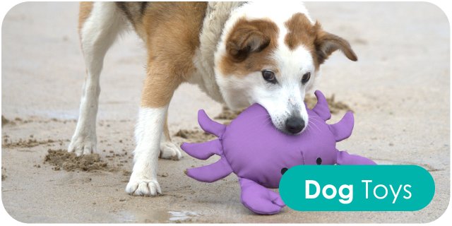 Dog Toys
