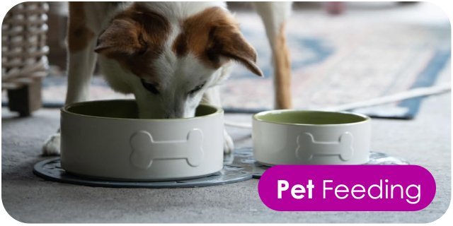 PET FEEDING