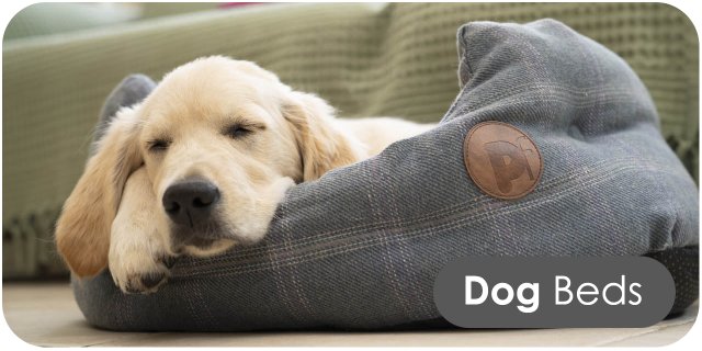 Dog Bedding