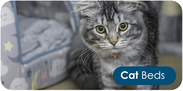 Cat Bedding